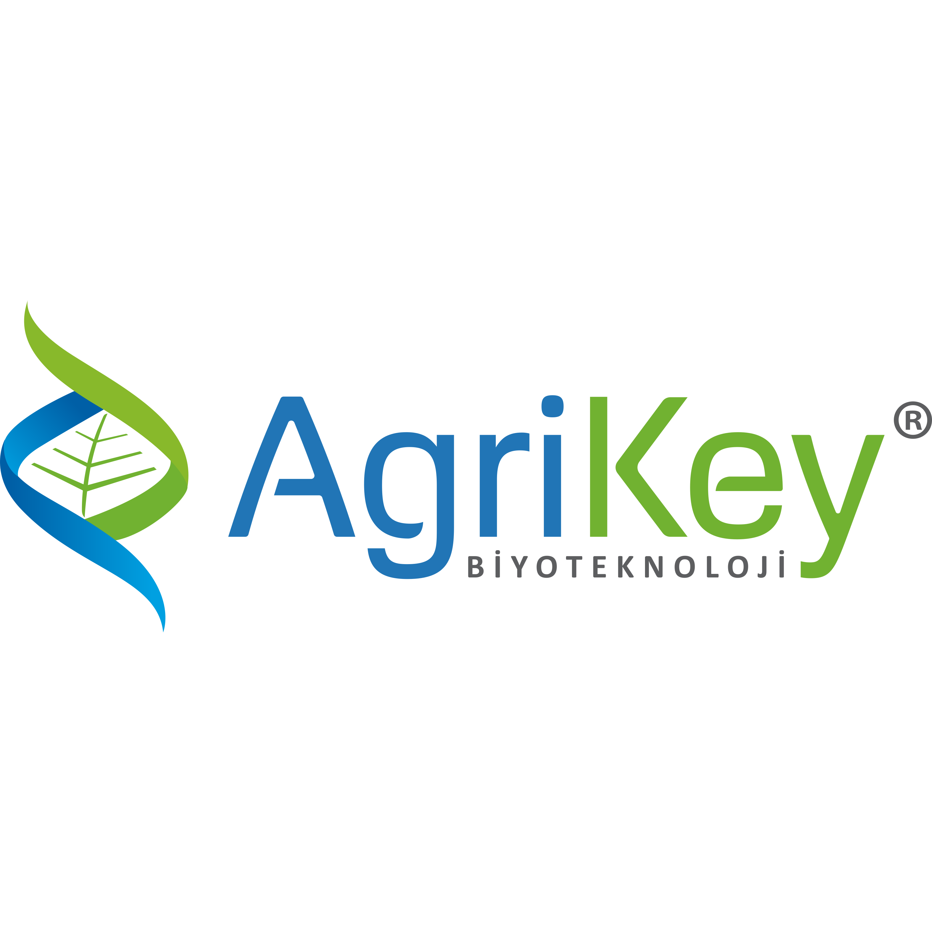 AGRIKEY.png