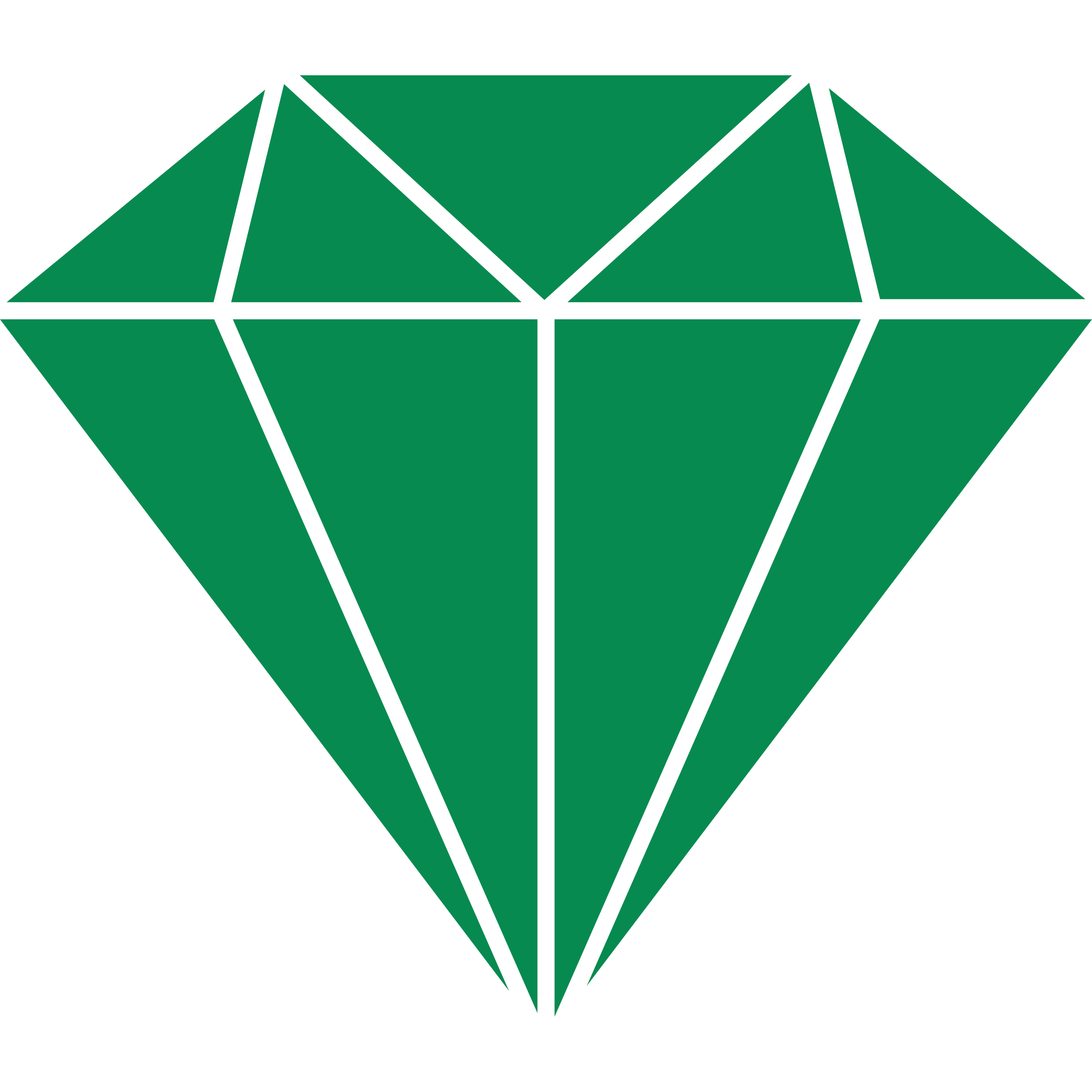 GEMMY AGRI.png