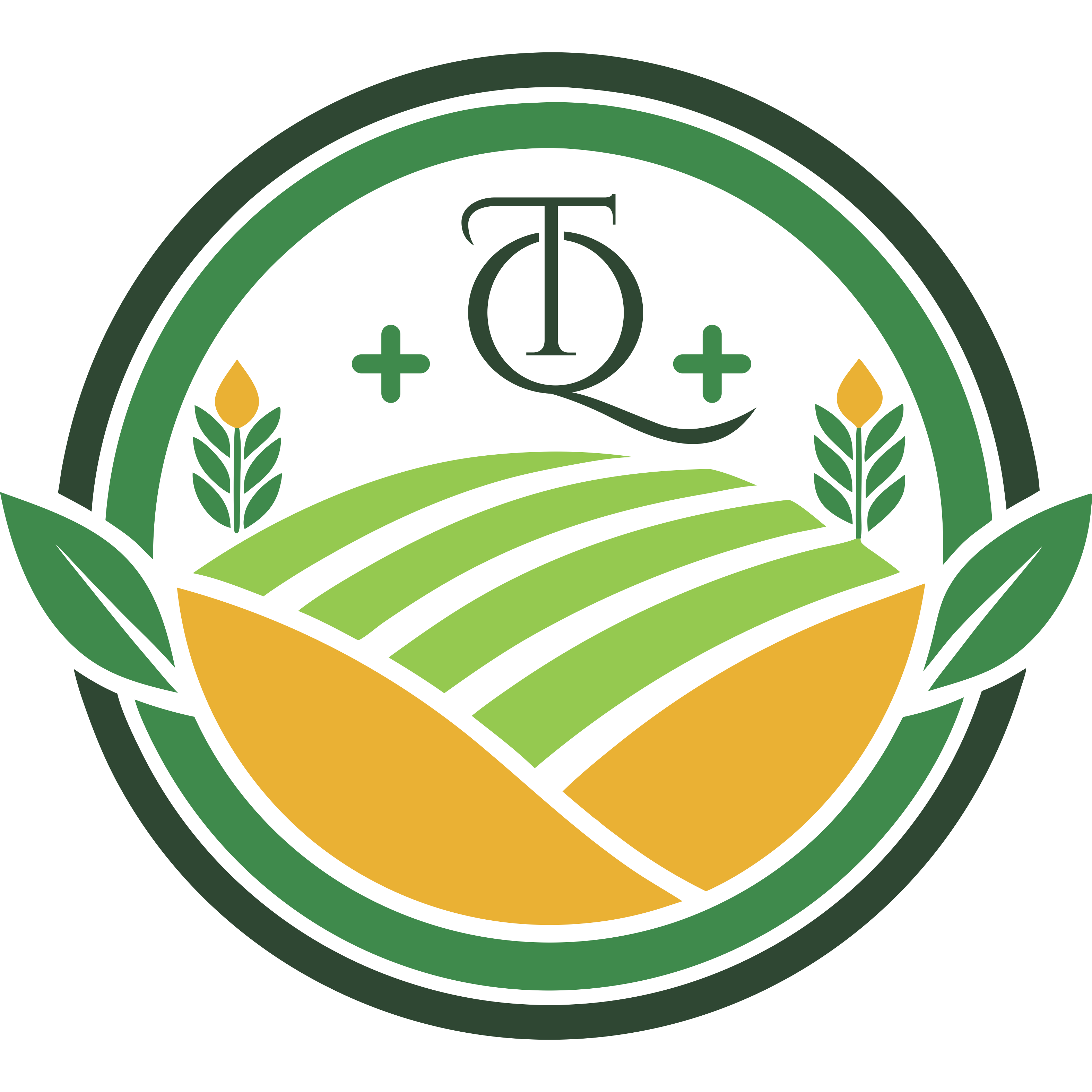 QT.png