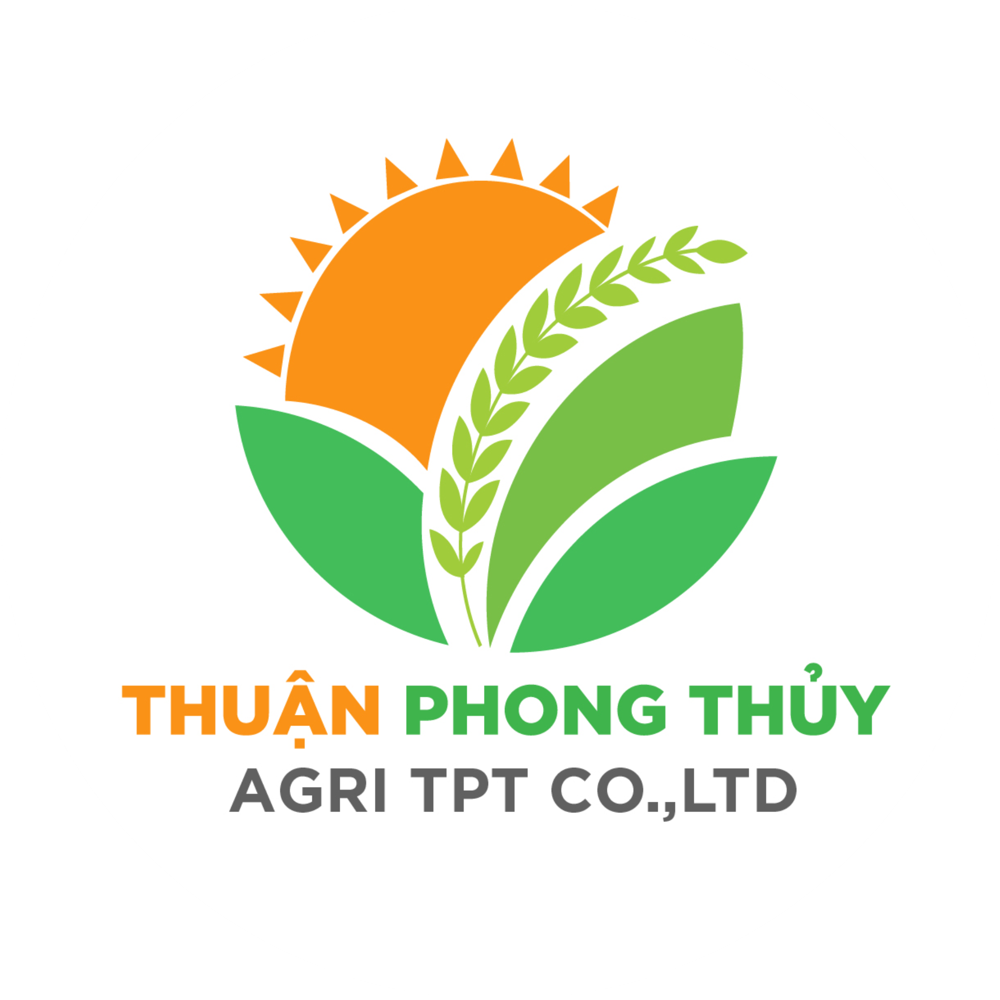THUAN PHONG THUY.png