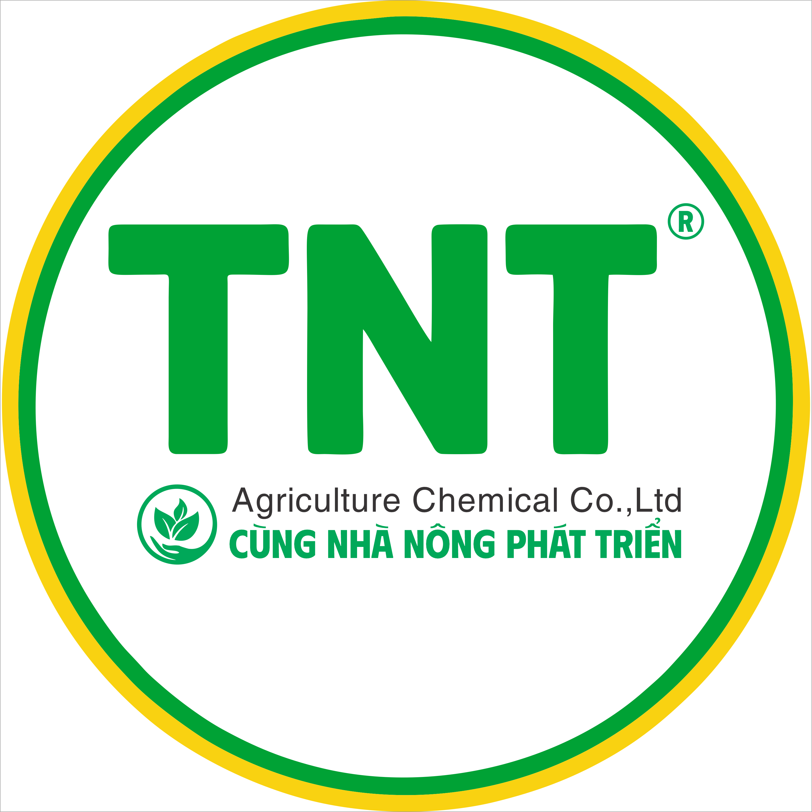 TNT.png