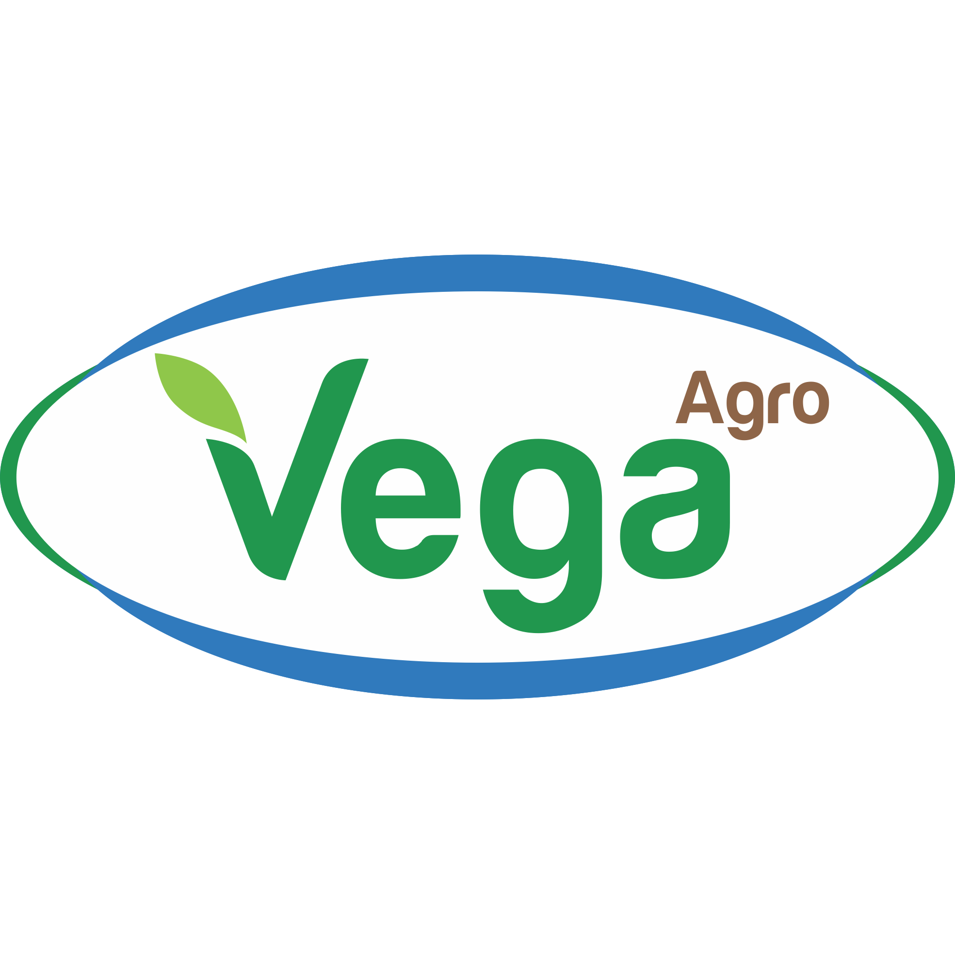 VEGA AGRO.png